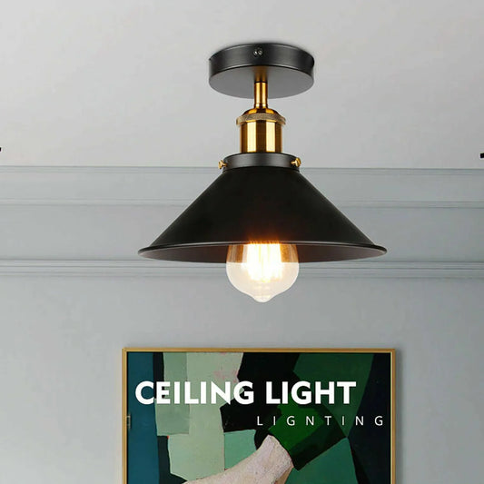 Ceiling lights
