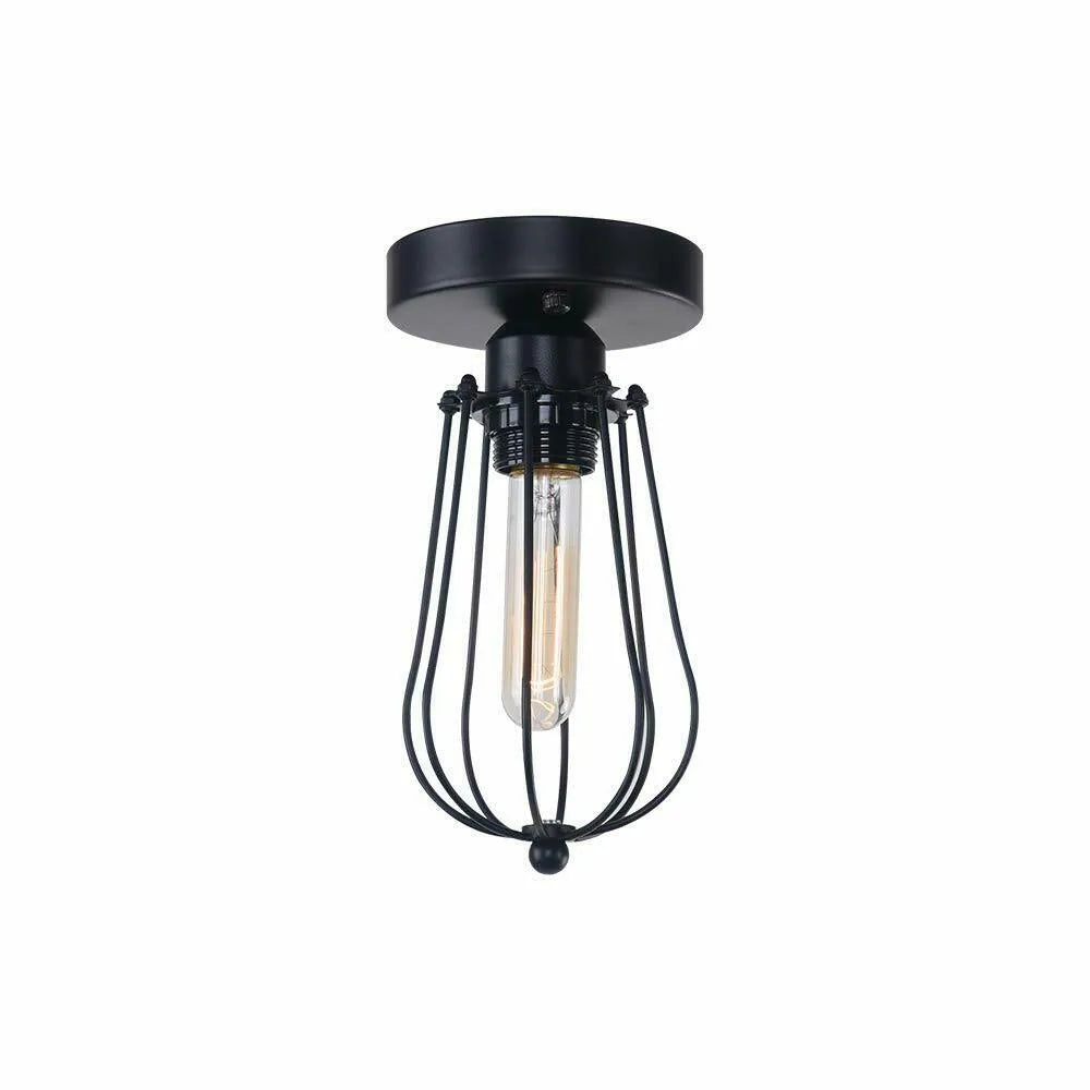 Ceiling lights