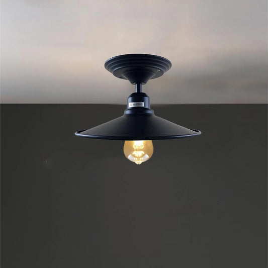 Ceiling lights