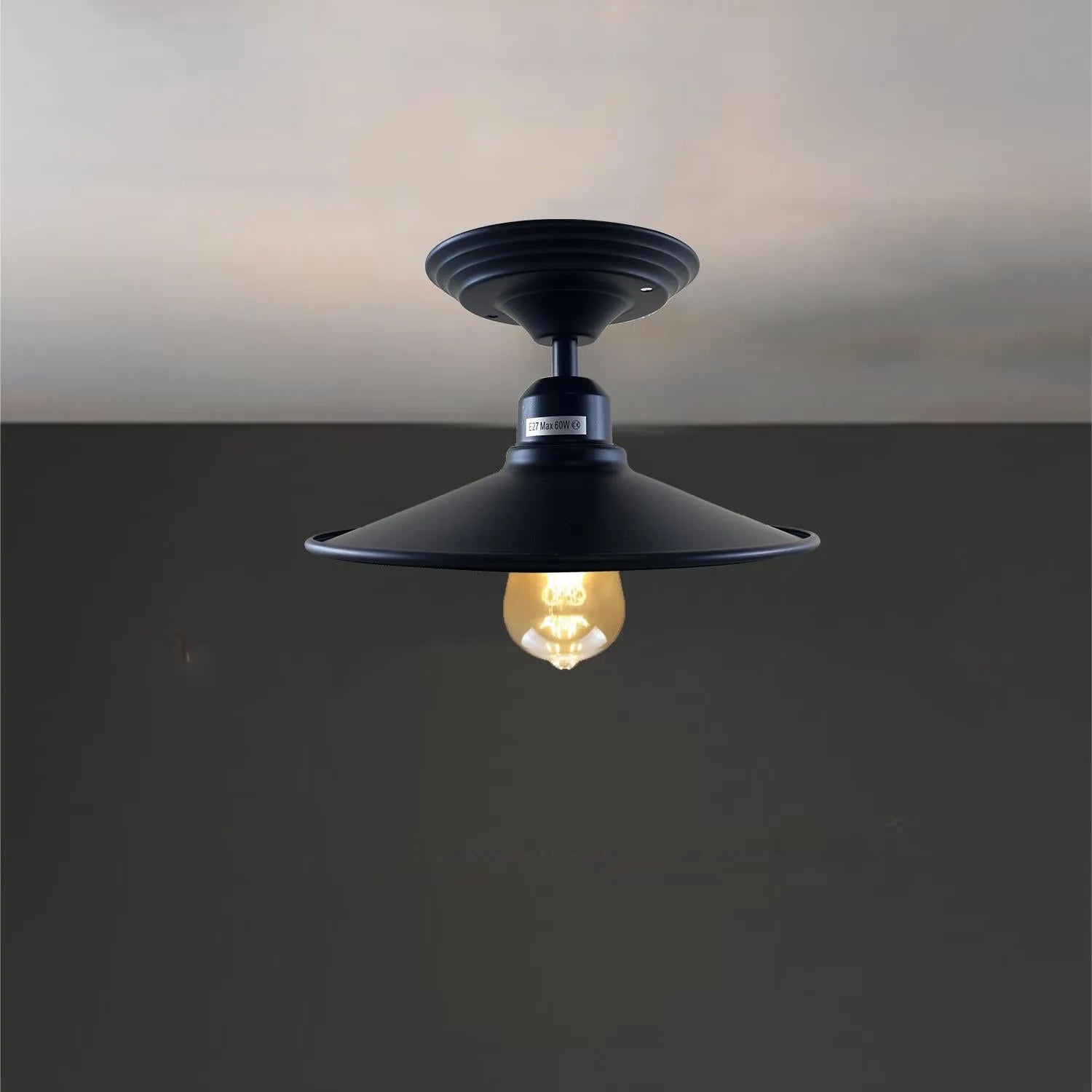 Ceiling lights