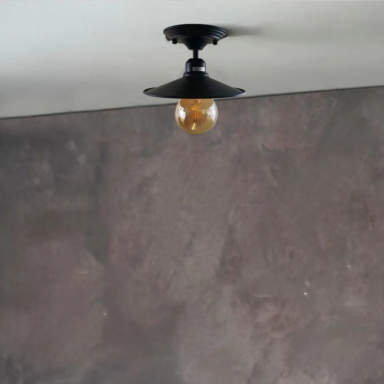 Ceiling lights
