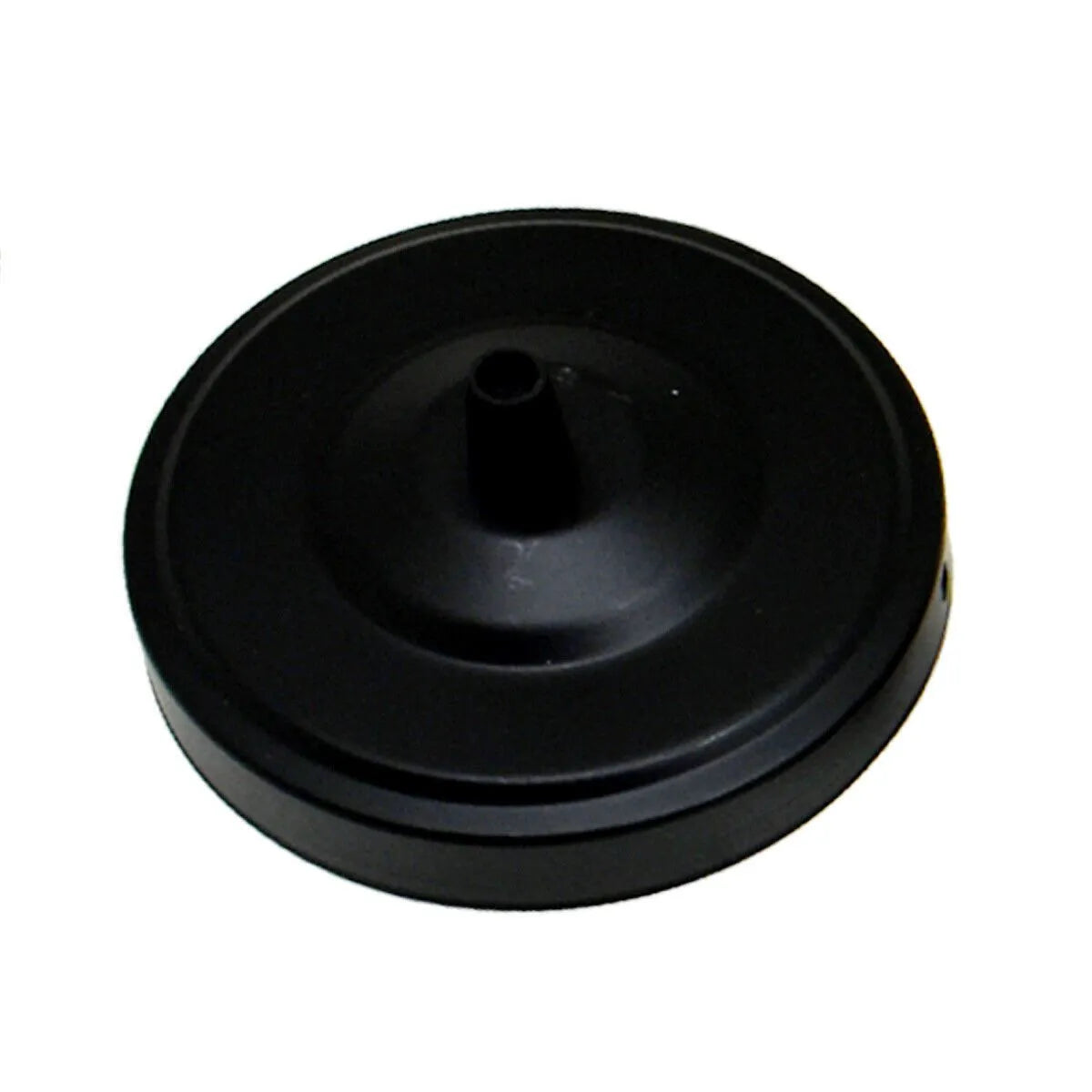 Ceiling Rose