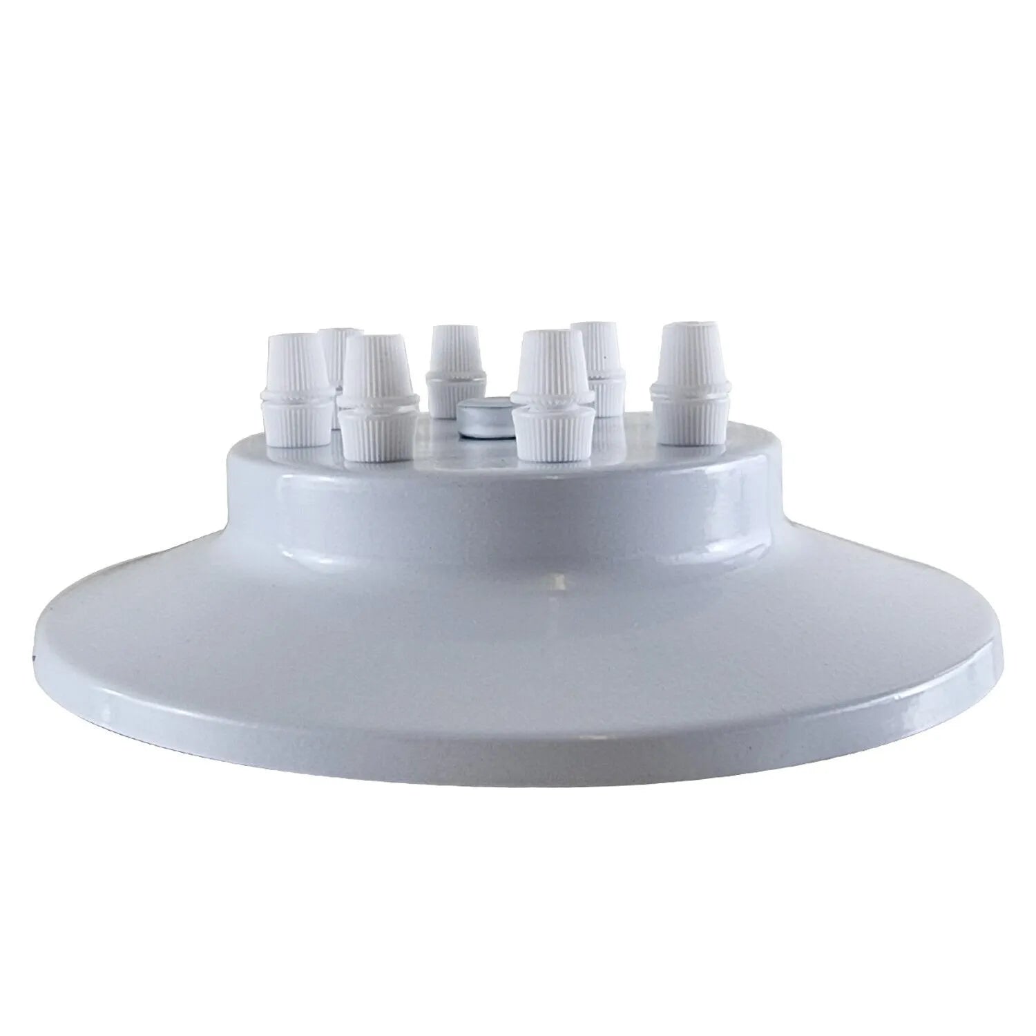 Ceiling Rose