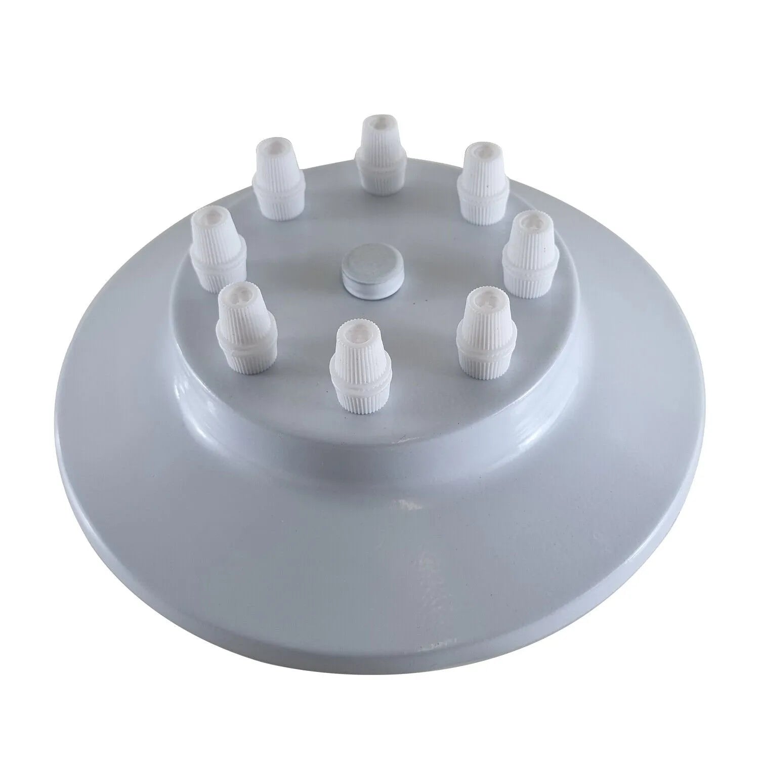 Ceiling Rose