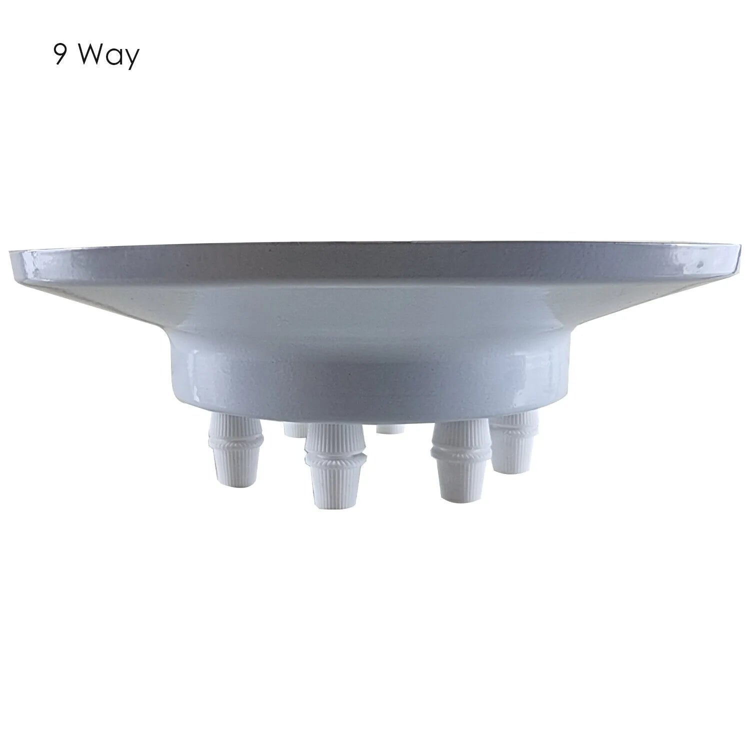 Ceiling Rose