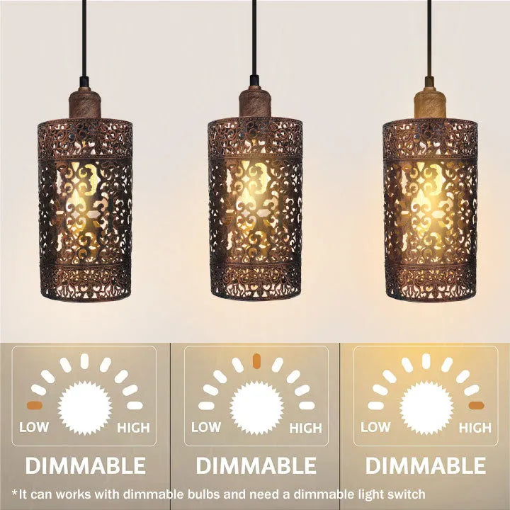 Pendant_Lamp_Lights