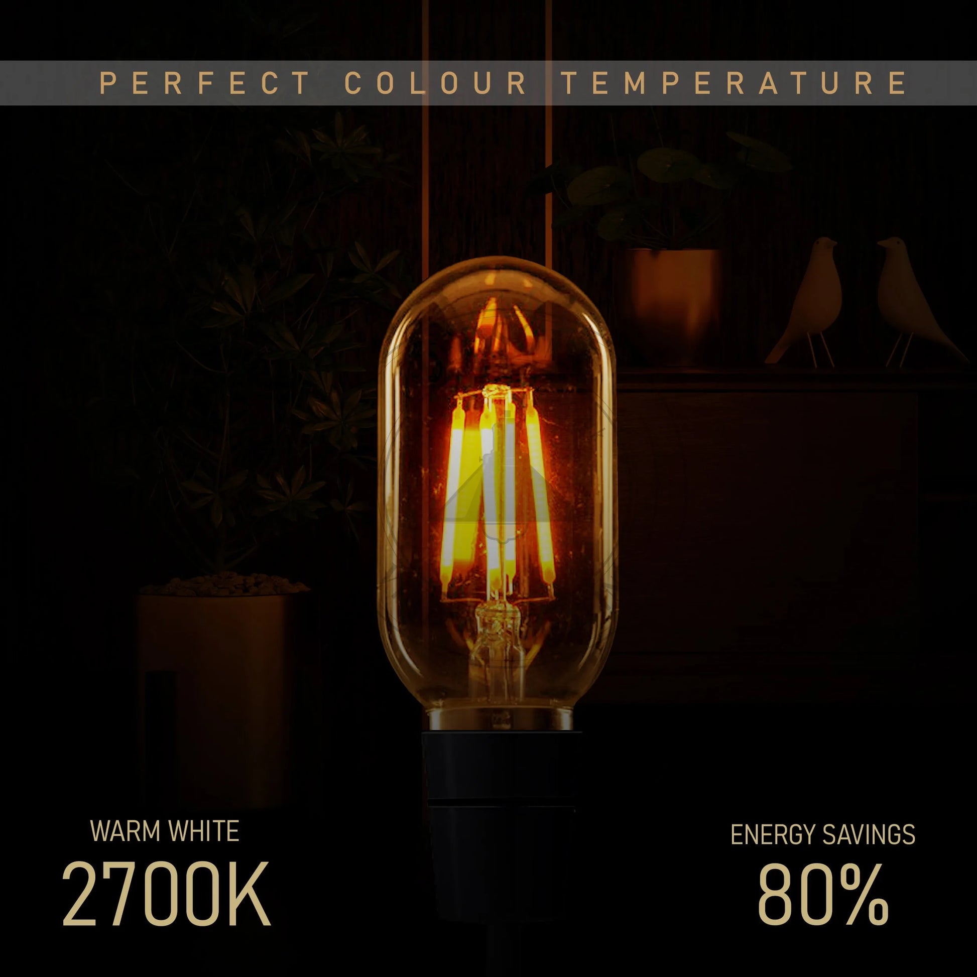 LED Bulb