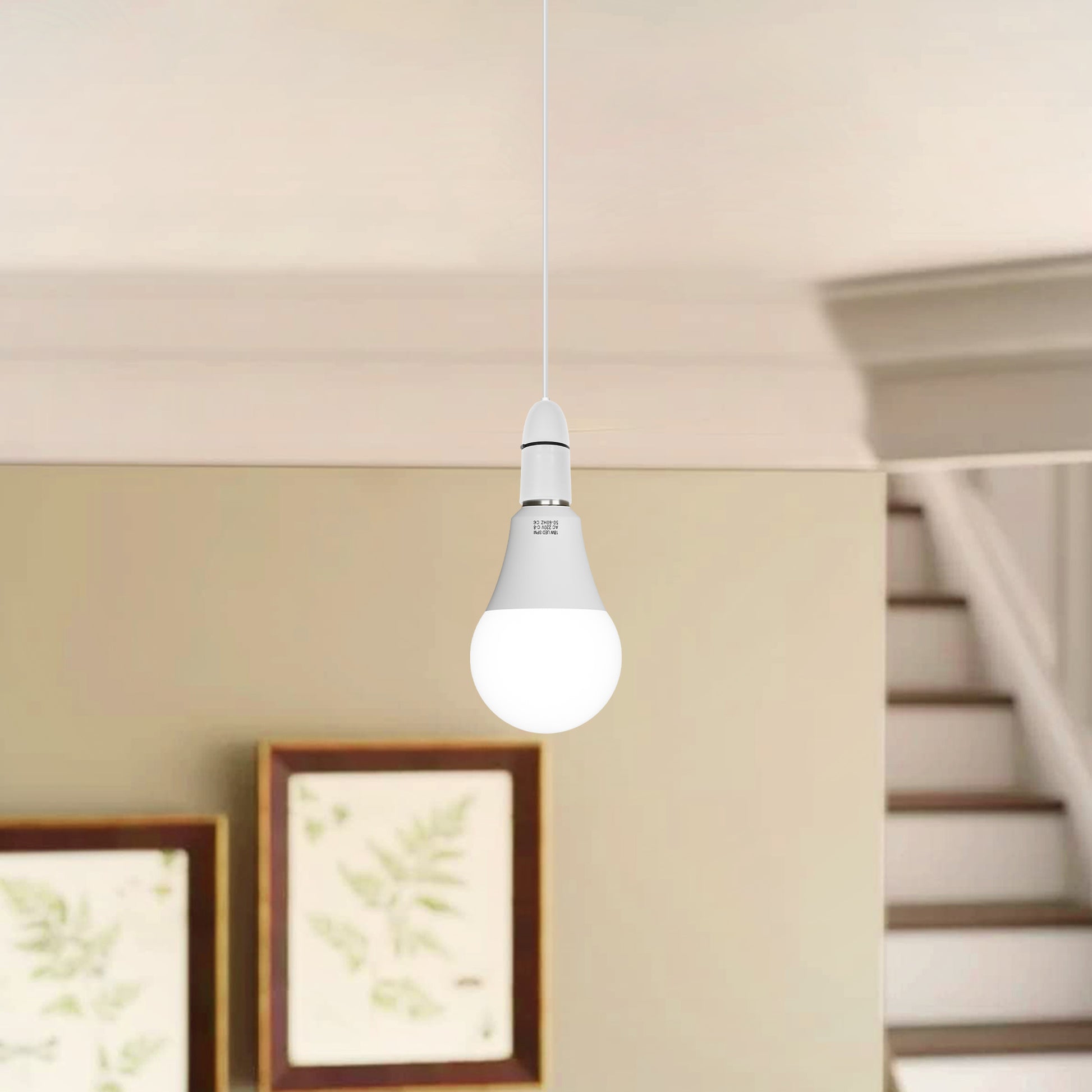 LED lighting for energy-efficient homes