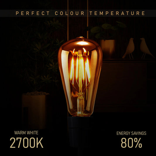 ampoule LED rétro design industriel