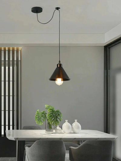 Raccord lumineux suspension roue poulie E27 ~1792