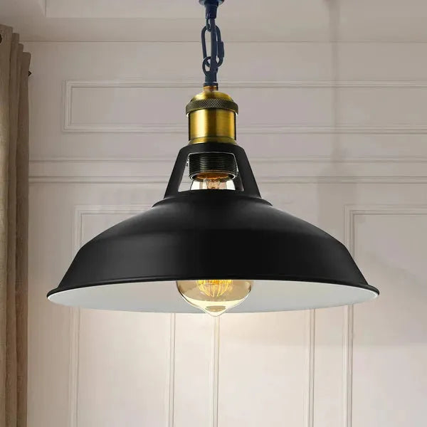 Ceiling Hanging Light