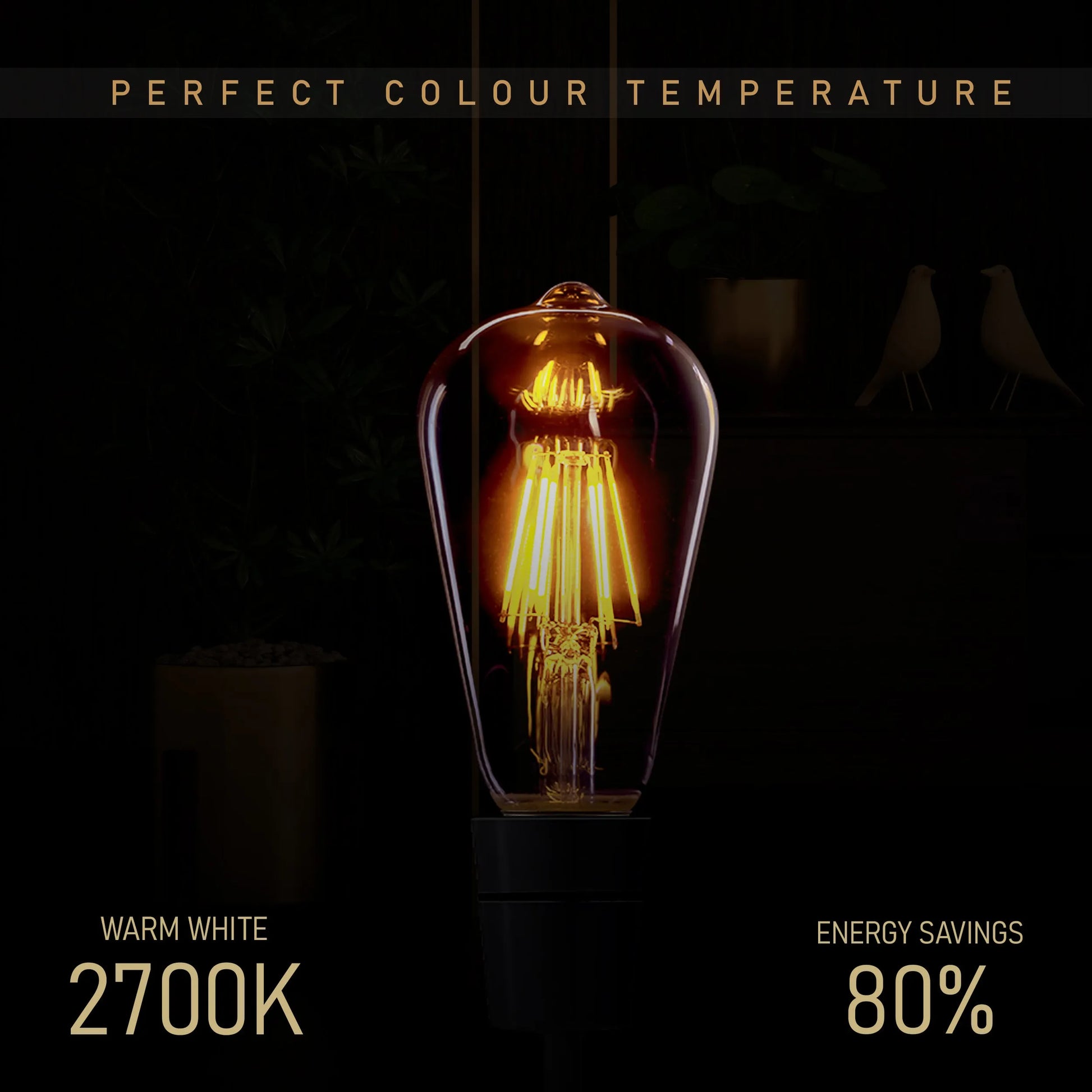 E27 Base Bulb B