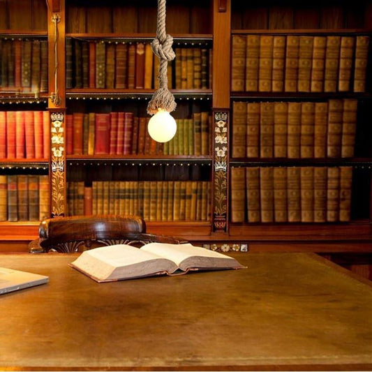 Plafonnier LED industriel rétro ~1793