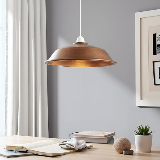 LEDSone Abat jour Plafond Métal Salon 26cm – Suspension Plafond E27 ~1721