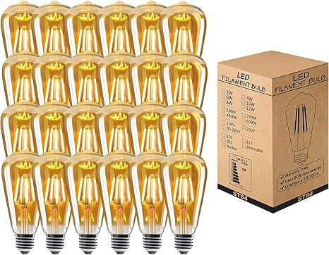 Pack 24 ampoules à vis 4W E27 Edison ST64 ~2077