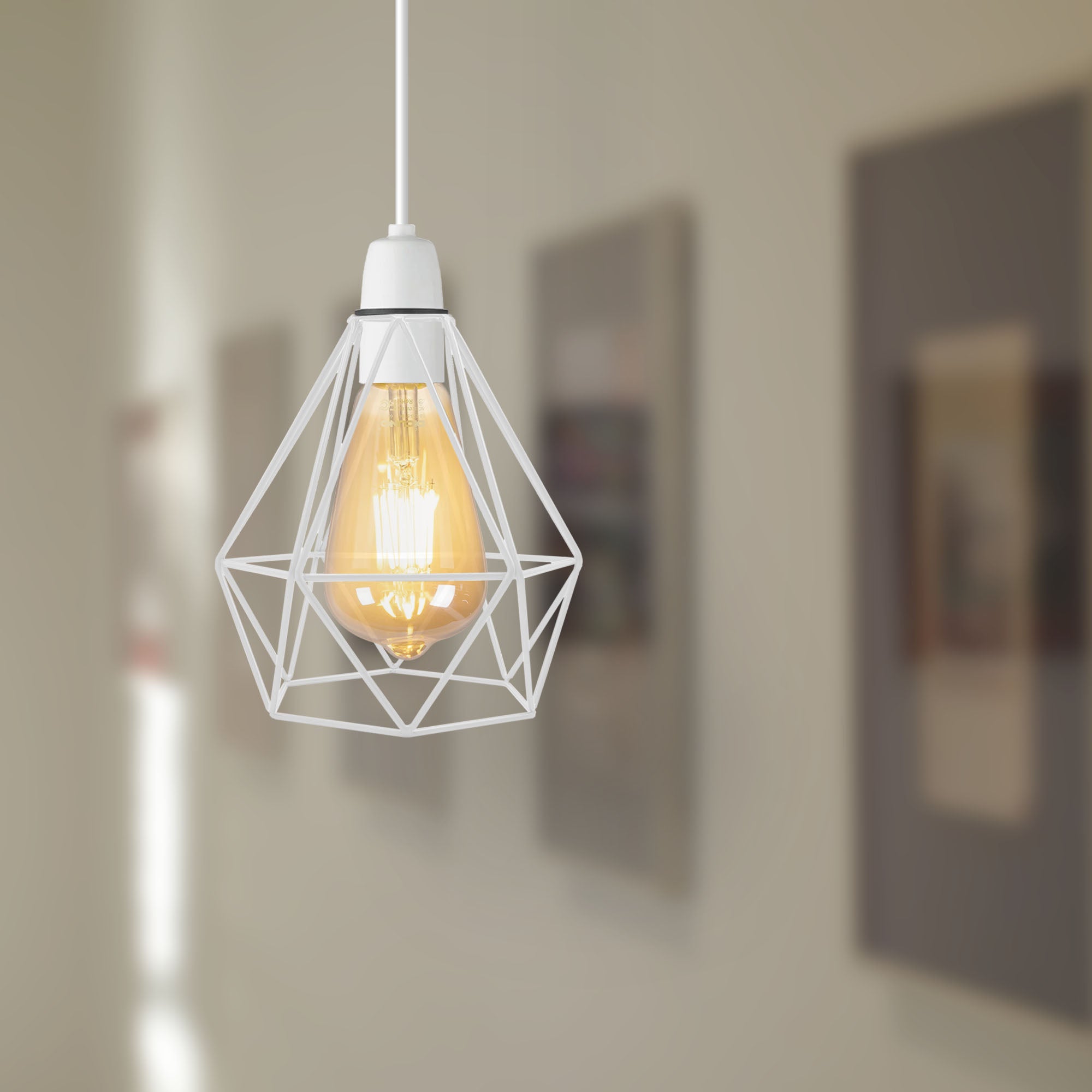 Wire cage outlet lampshade