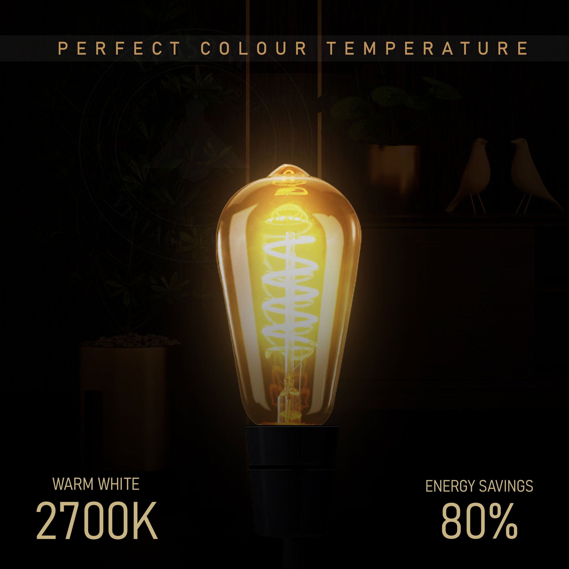 LED Light ST64 4W Warm White Bulb Filament Bulbs-Details