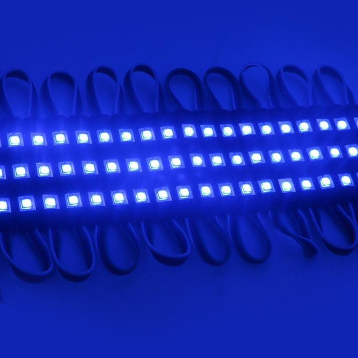 led module light